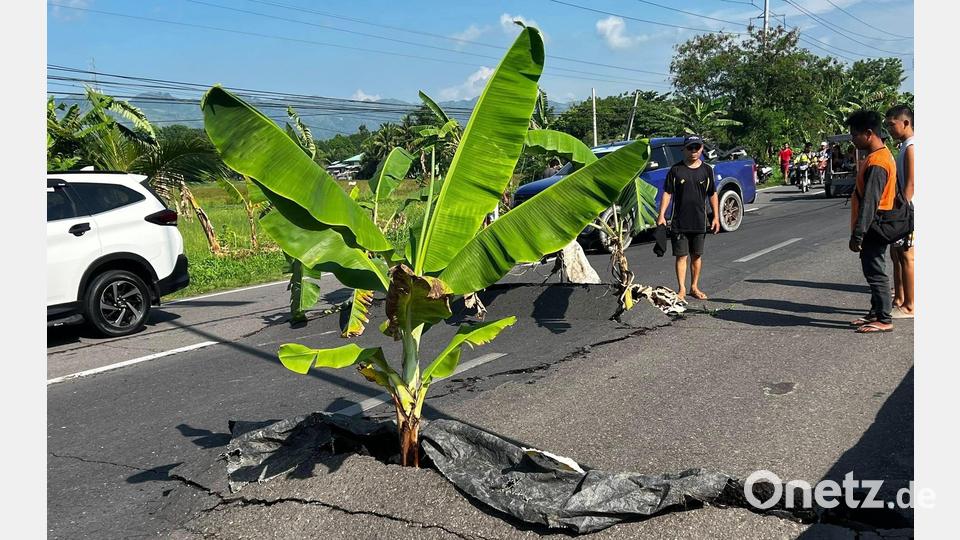 Nach einem Erdbeben der Stärke 7.8 in der philippinischen Provinz Süd-Cotabato ragen Pflanzen aus großen Rissen im Asphalt heraus. Bild: -/XinHua/dpa