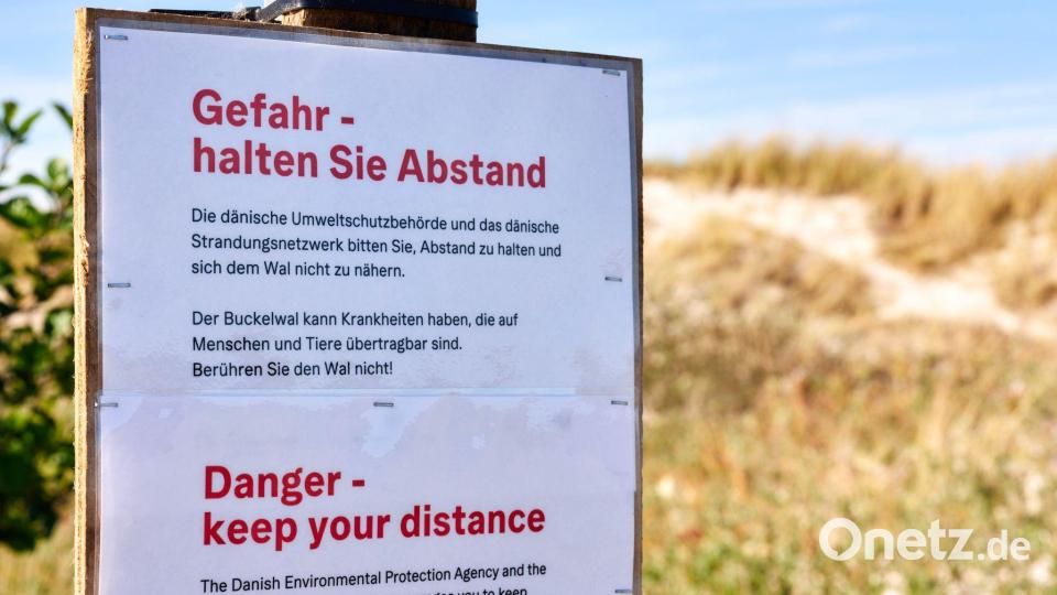 Achtung, Ansteckungsgefahr! Die Behörden warnen auch auf Deutsch. Bild: Marcus Golejewski/dpa