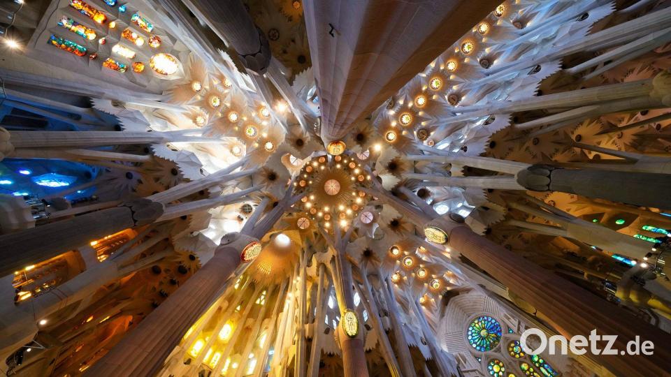 Die Decke der Basilika der Sagrada Familia in Barcelona vor der Ankunft des Papstes zur Feier eines Gottesdienstes. Bild: Bernat Armangue/AP/dpa