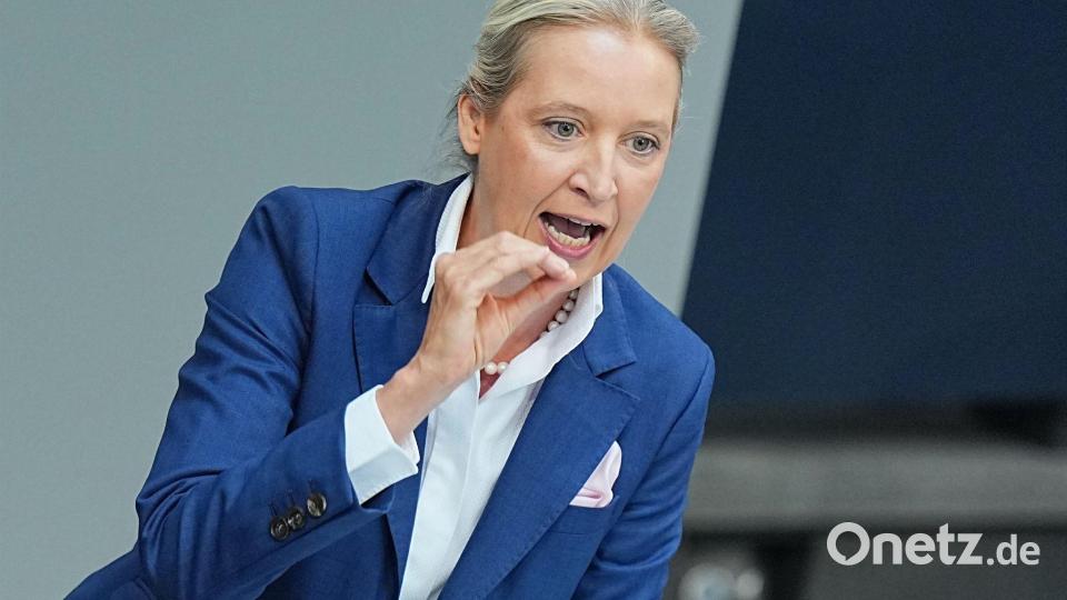Weidel rechnet mit der Regierung generell ab. Bild: Michael Kappeler/dpa