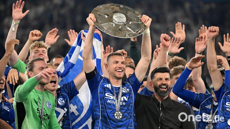 Feierte mit Schalke 04 den Bundesliga-Aufstieg: Edin Dzeko (m). (Archivbild) Bild: Bernd Thissen/dpa