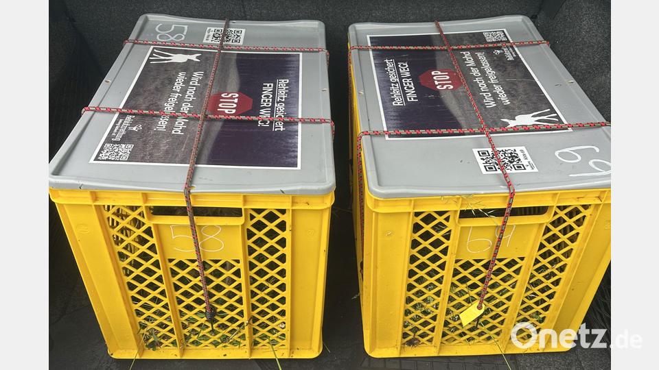 In diesen Transportboxen wurden die beiden Kitze nach Weiden gebracht. Ein Jäger-Ehepaar wird sie aufziehen und später wieder auswildern. Bild: Peter Luschner