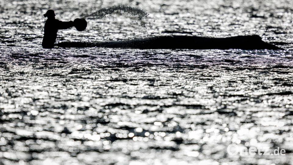 Wochenlang war vor der Insel Poel viel Trubel um den stark geschwächten Wal. (Archivbild) Bild: Jens Büttner/dpa