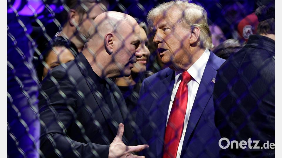 UFC-Boss Dana White ist ein glühender Anhänger des US-Präsidenten. (Archivbild) Bild: Adam Hunger/AP/dpa
