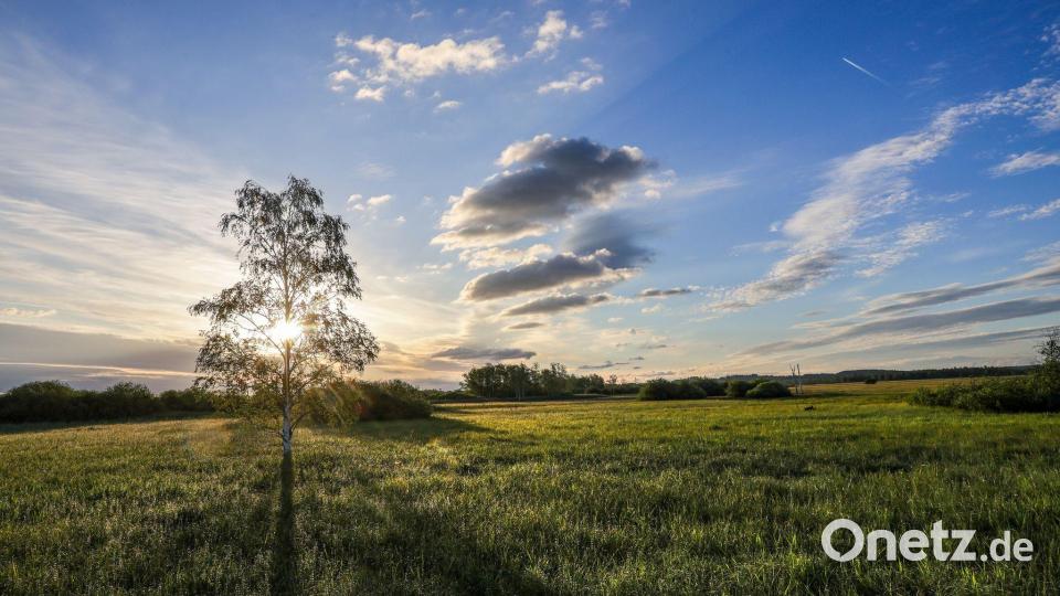 Gerade im Süden Deutschlands zeigt sich die Sonne schon zum Wochenstart. Bild: Thomas Warnack/dpa