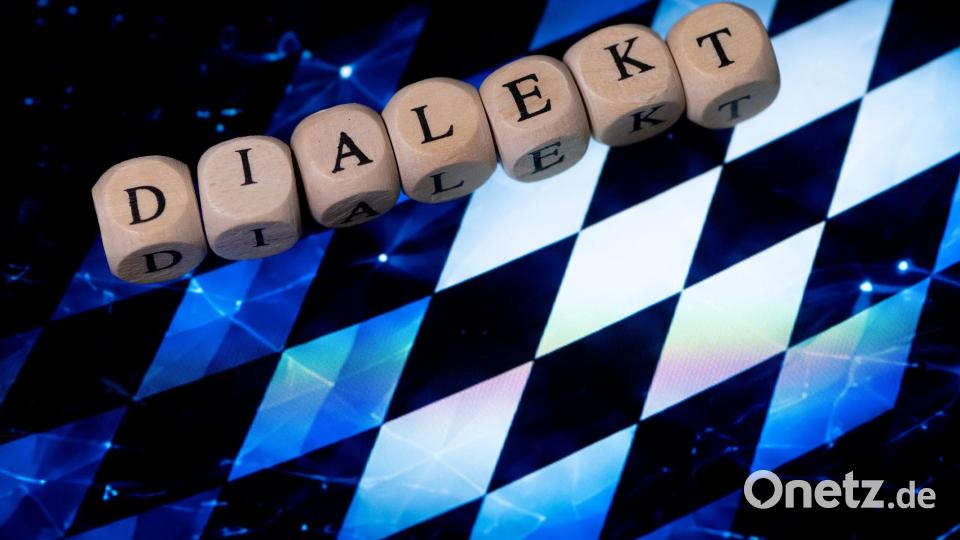 Dafür muss die KI die Varianten des Dialekts beherrschen - und folglich erst einmal erlernen. (Symbolbild) Bild: Sven Hoppe/dpa