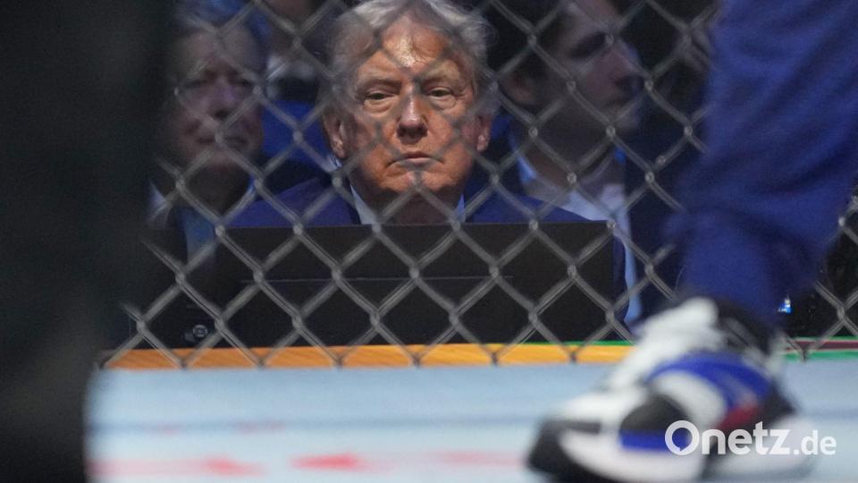 Konzentriert scheint US-Präsident Donald Trump einen Kampf bei den UFC Freedom 250 zu verfolgen Bild: Alex Brandon/AP Pool photo/dpa