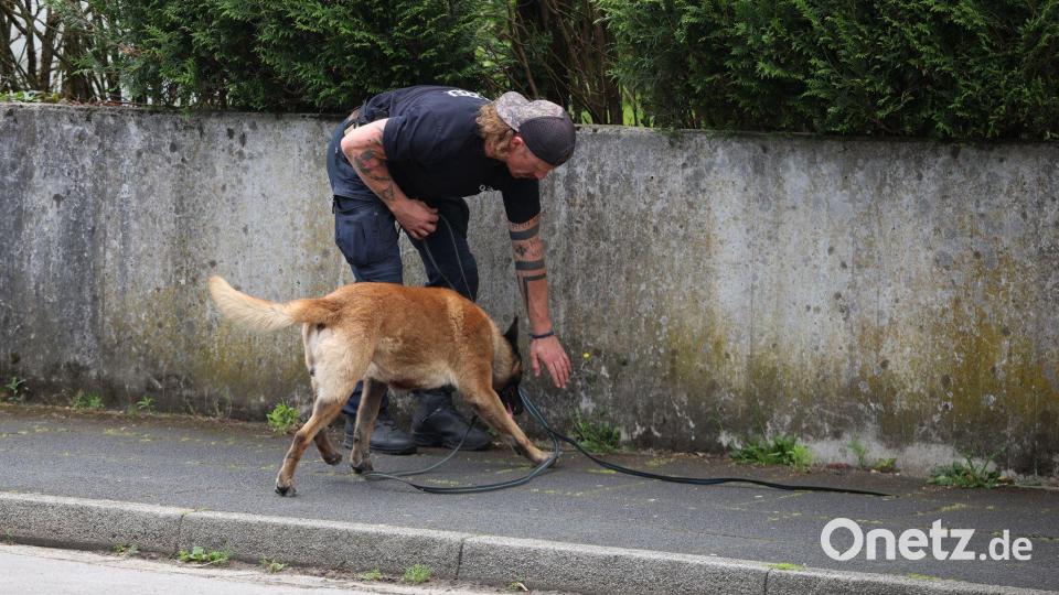 Ein Polizist sucht mit einem Spürhund nach Hinweisen. Bild: Christoph Reichwein/dpa