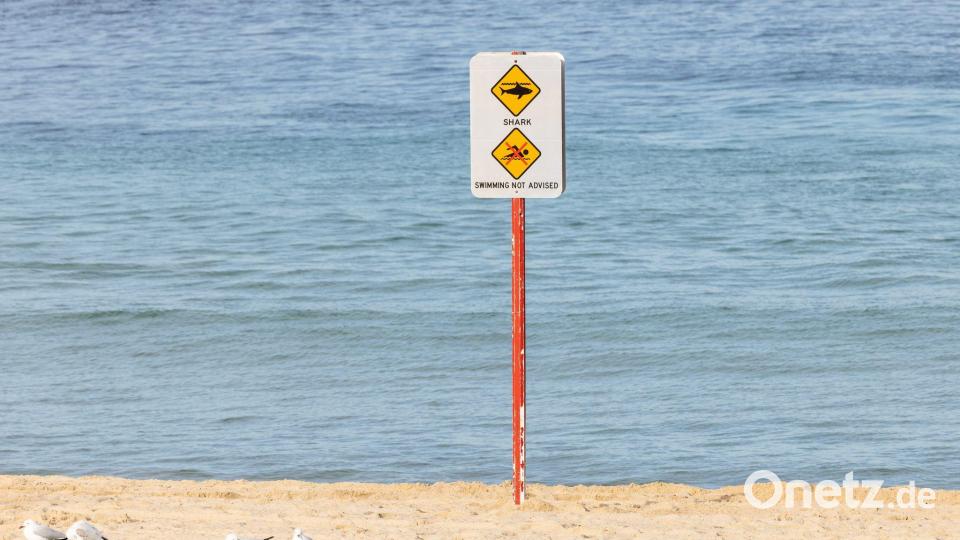 Nach dem Hai-Angriff wurde der betroffene Strand aus Sicherheitsgründen geschlossen. Bild: Nadir Kinani/AAP/dpa
