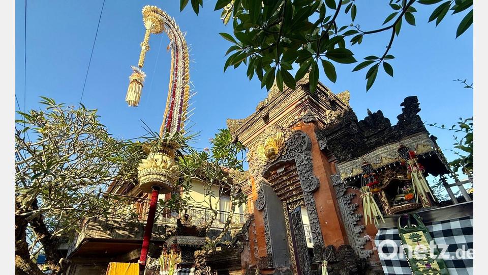 Die meterhohen, geschwungenen Penjor gehören auf Bali zum "Galungan"-Fest dazu. Bild: Carola Frentzen/dpa