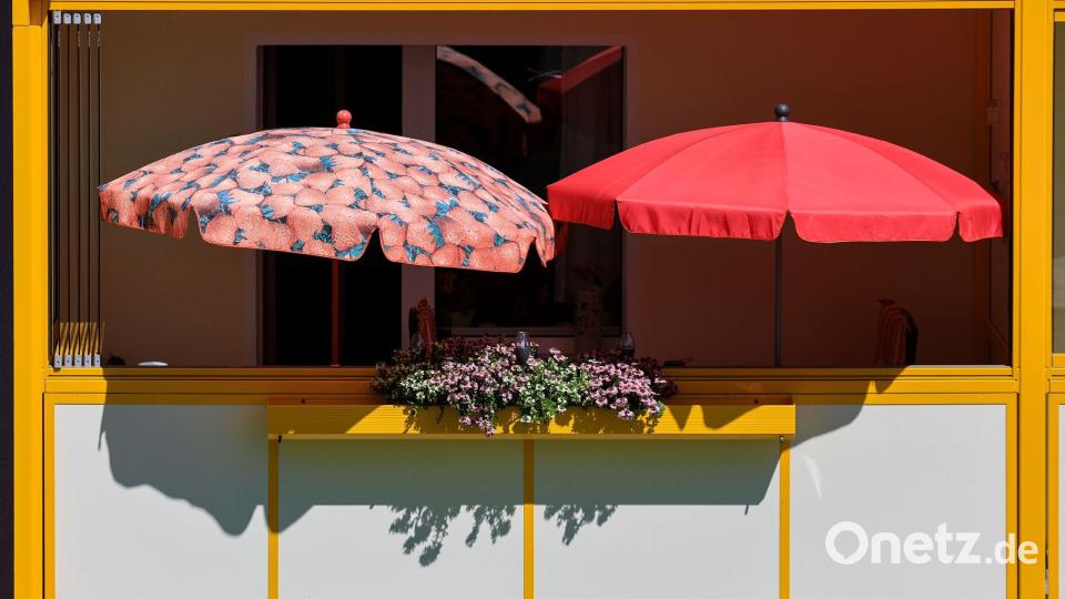Für Schatten sorgen: nicht nur einige Aufgabe für Einzelne, sondern auch für die Stadtplanung. Kommunen sollen Hitzeaktionspläne vorlegen. Bild: Jan Woitas/dpa