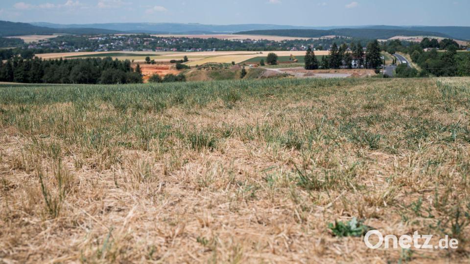 In Unterfranken ist es oft besonders trocken. (Symbolbild) Bild: Daniel Vogl/dpa