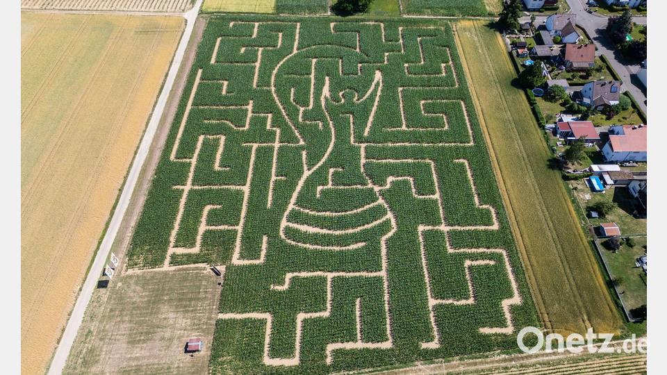 Dieser Irrgarten hat eine ganz besondere Form. Bild: Silas Stein/dpa