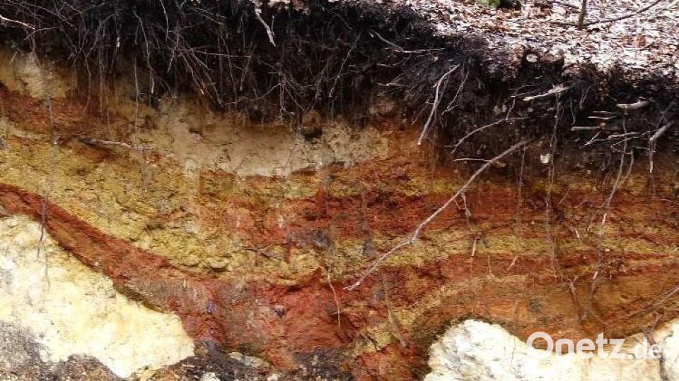 Interessante Einblicke: So sieht der Bodenaufschluss der Farberde bei Neutras aus. Bild: LfU