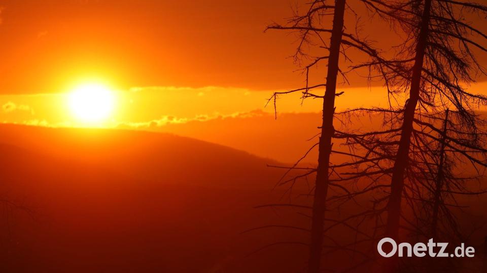 Je später der Abend, desto eindrucksvoller die Sonne. (Archivbild) Bild: Matthias Bein/dpa/ZB