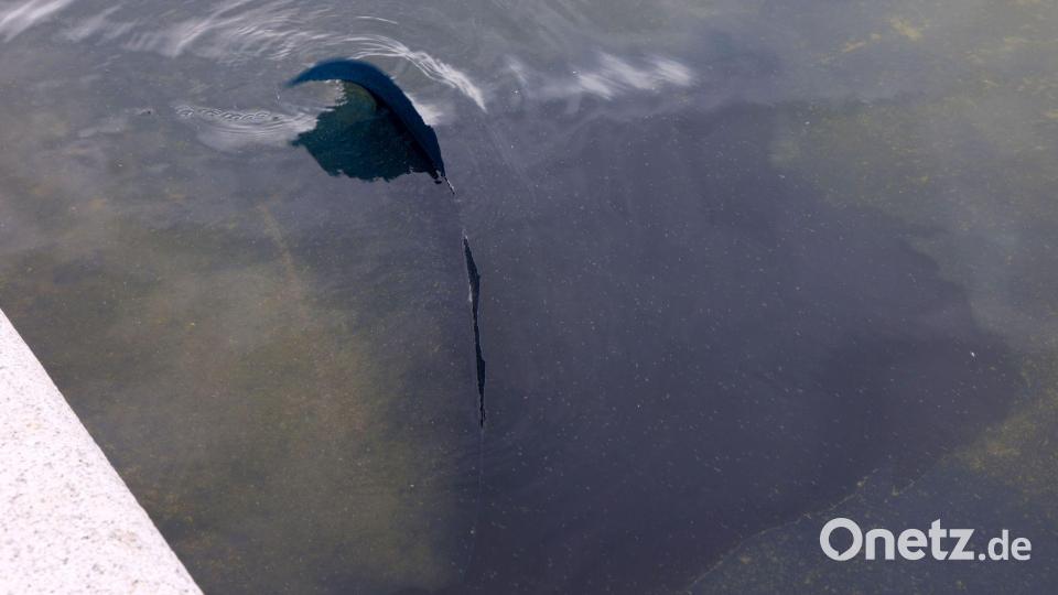 Im Reflecting Pool löst sich Farbe. Bild: Gent Shkullaku/ZUMA Press Wire/dpa