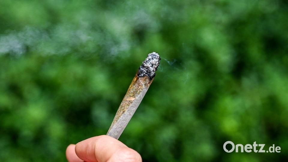 Seit rund zwei Jahren ist Cannabis in Deutschland teilweise legal. Bild: Jens Kalaene/dpa