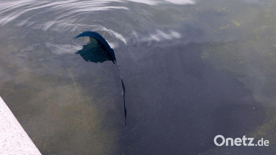 Im Reflecting Pool löst sich Farbe. Bild: Gent Shkullaku/ZUMA Press Wire/dpa