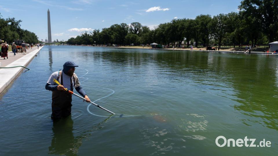 Die teure Pool-Renovierung droht zum Fiasko zu werden. (Archivbild) Bild: Mark Schiefelbein/AP/dpa