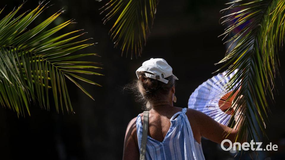 Ein Fächer, wie ihn hier eine Frau in Stuttgart bei sich trägt, ist derzeit ein gefragtes Sommer-Accessoire. Bild: Marijan Murat/dpa