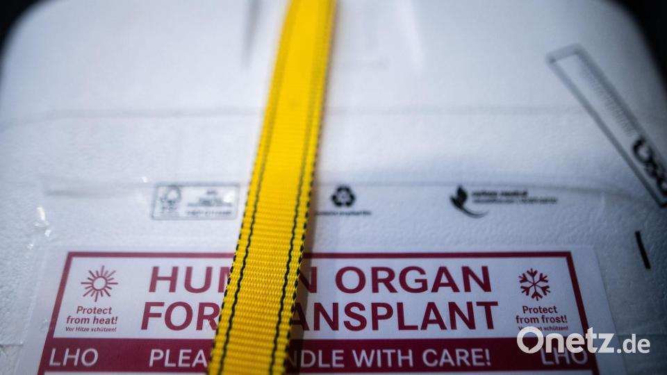 Rund 8.200 Patienten stehen auf Wartelisten für Spender-Organe. (Archivbild) Bild: Sebastian Gollnow/dpa