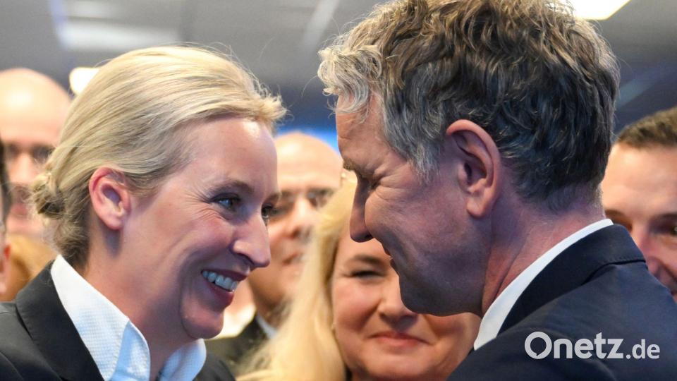 Von den einstigen Flügelkämpfen in der AfD ist heute nicht mehr viel zu spüren. Etliche frühere Führungspersönlichkeiten haben die Partei seither verlassen. (Archivfoto) Bild: Sören Stache/dpa-Pool/dpa