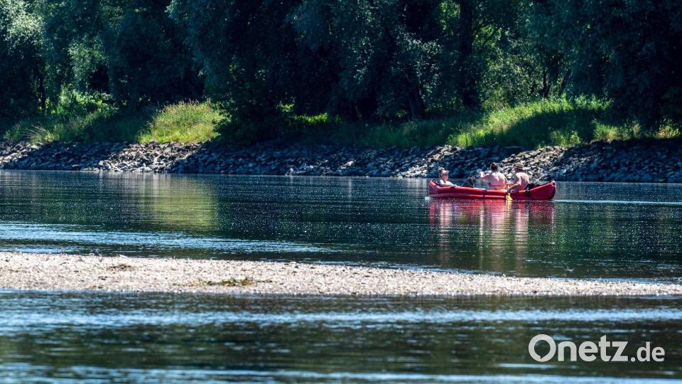 Auch das Wasser der Donau wird wärmer. (Archivbild) Bild: Armin Weigel/dpa