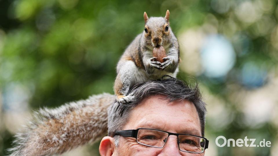 Nüsseknacken mit Aussicht Bild: Martin Meissner/AP/dpa