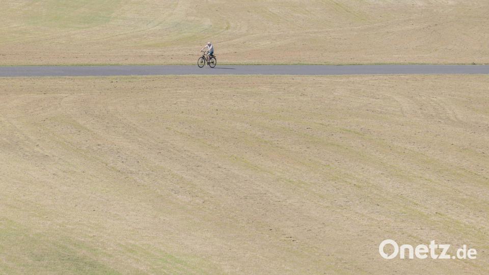 Hitze und Trockenheit in Köln Bild: Rolf Vennenbernd/dpa