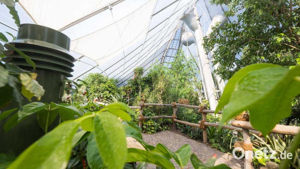 Der Umbau hat nach Angaben des Tierparks etwa 11 Millionen Euro gekostet. Bild: Tobias Hase/dpa