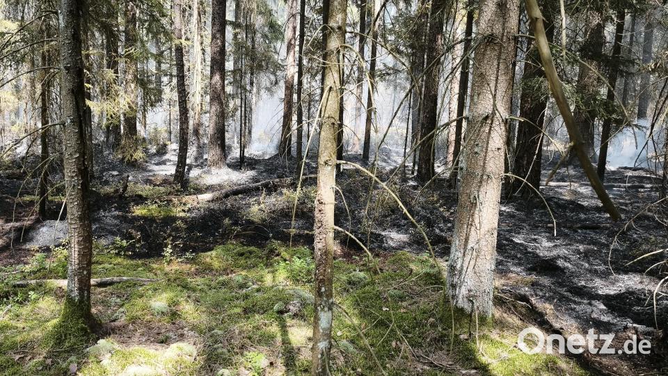 Zwischen Großensees und Tirschenreuth brannte am Freitag ein Waldstück. Bild: Peter Nickl