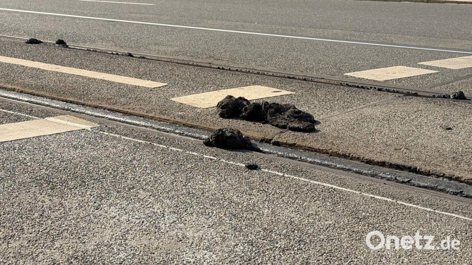 In Nürnberg können die Straßenbahnen nicht mehr fahren, weil der Straßenbelag wegen der Hitze weich geworden ist. Bild: Irena Güttel/dpa