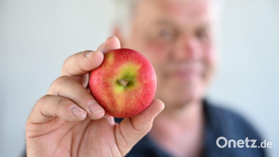 Die neue Züchtung soll mit weniger Pflanzenschutz auskommen. Bild: Felix Kästle/dpa