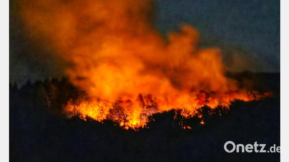 In der Nacht brannte es lichterloh in dem Waldgebiet in Rheinland-Pfalz. Bild: Sebastian Schmitt/dpa