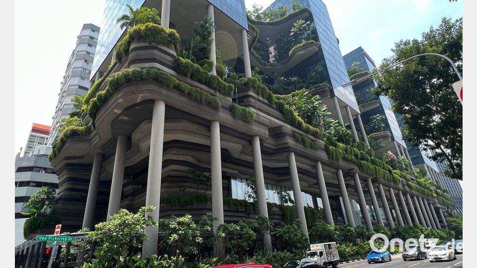 Singapur ist bei der Hitzebekämpfung einer der weltweiten Vorreiter - unter anderem helfen vertikale Gärten. (Archivbild) Bild: Carola Frentzen/dpa