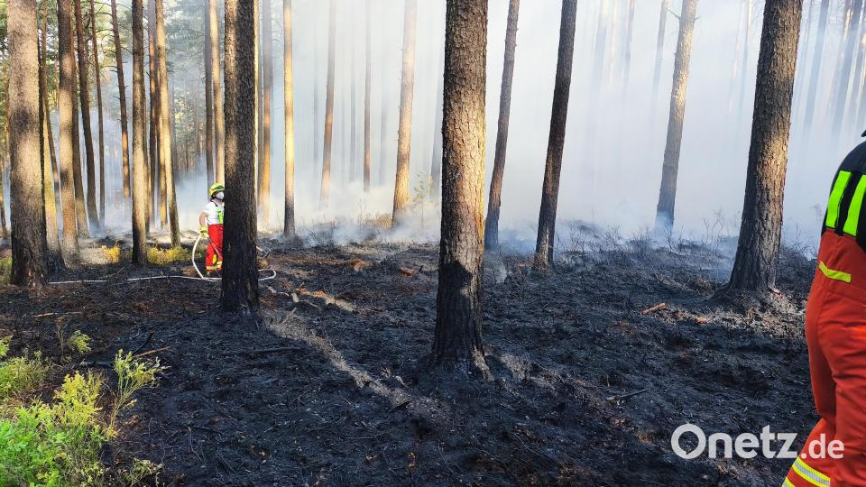 Ein Waldbrand nahe Manteler Forst hat am Sonntagmorgen zahlreiche Einsatzkräfte gefordert. Brandbekämpfung gab es von vier Seiten. Bild: Jürgen Masching