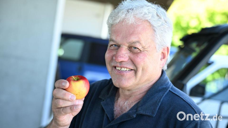 Die Idee für das Projekt kam von den Obstbauern. Bild: Felix Kästle/dpa