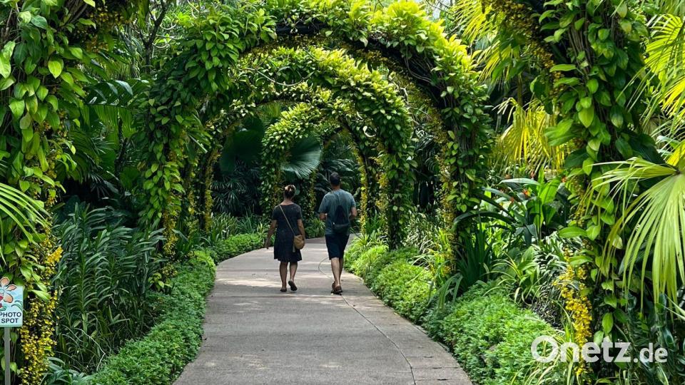 Singapur gilt als eine der grünsten Metropolen der Welt. (Archivbild) Bild: Carola Frentzen/dpa