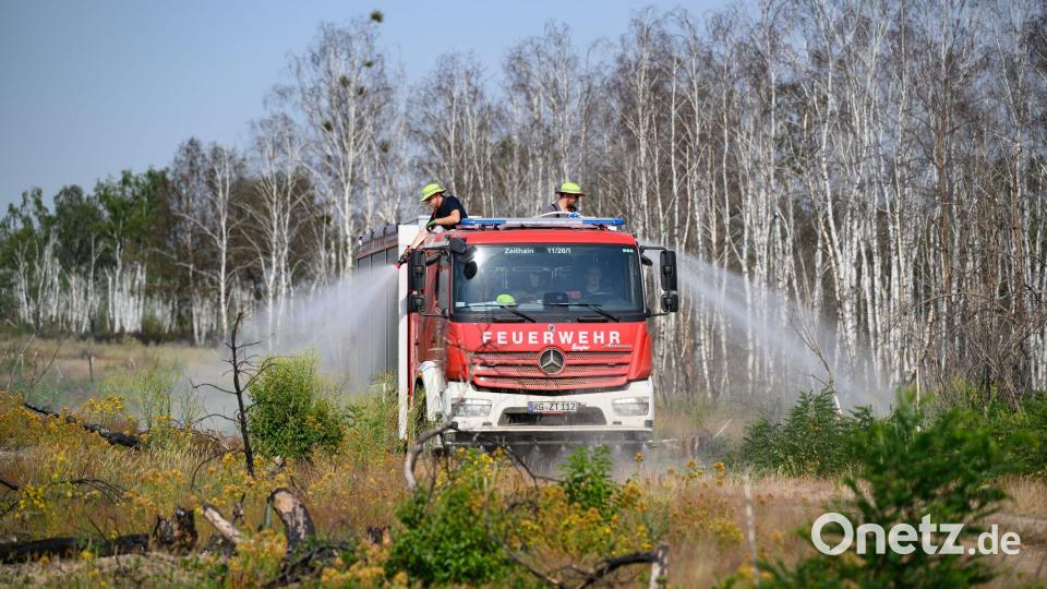 Waldbrand in der Gohrischheide: Feuerwehr im Einsatz Bild: Robert Michael/dpa