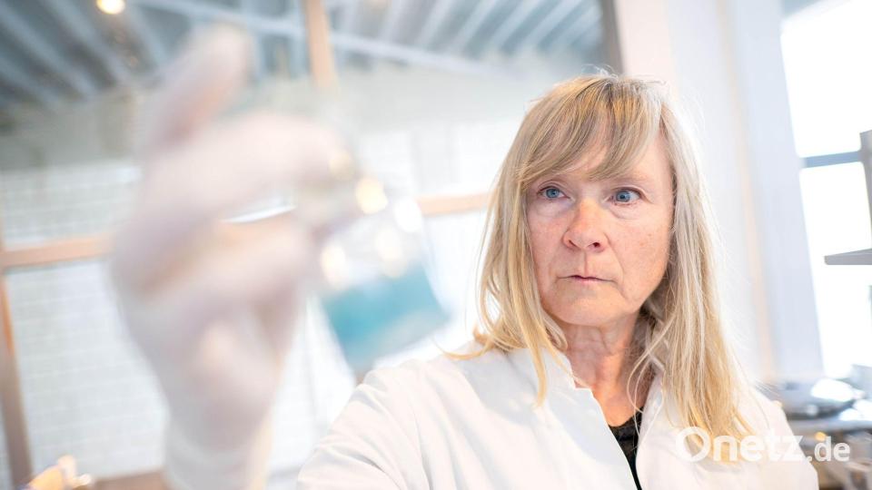 Ulrike Siemers, Co-Geschäftsführerin des Umweltinstituts, spricht von einem bunten Cocktail an Chemikalien, den die Tests zutage gefördert hätten. Bild: Sina Schuldt/dpa