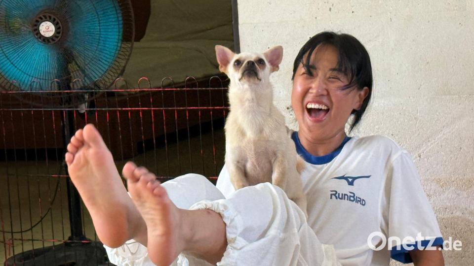 Puppy Yoga macht die Menschen glücklich - aber es gibt Schattenseiten. Bild: Carola Frentzen/dpa