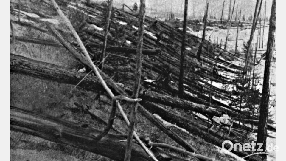 In Ostsibirien wurden zahlreiche Bäume von dem Asteroiden umgeknickt. (Handout) Bild: L. Kulik/Russische Akademie der Wissenschaften/dpa