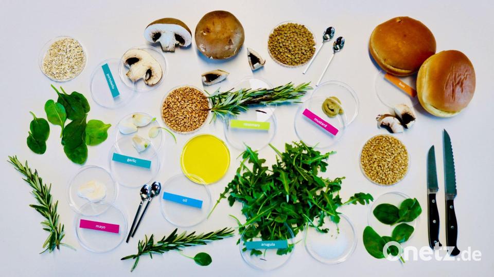 Von KI entworfene Zutaten für einen nachhaltigen und dabei leckeren Burger: unter anderem Zucht-Champignons, Rucola, Rosmarin, Körner und Gewürze. Bild: Living Matter Lab / EurekAlert/dpa