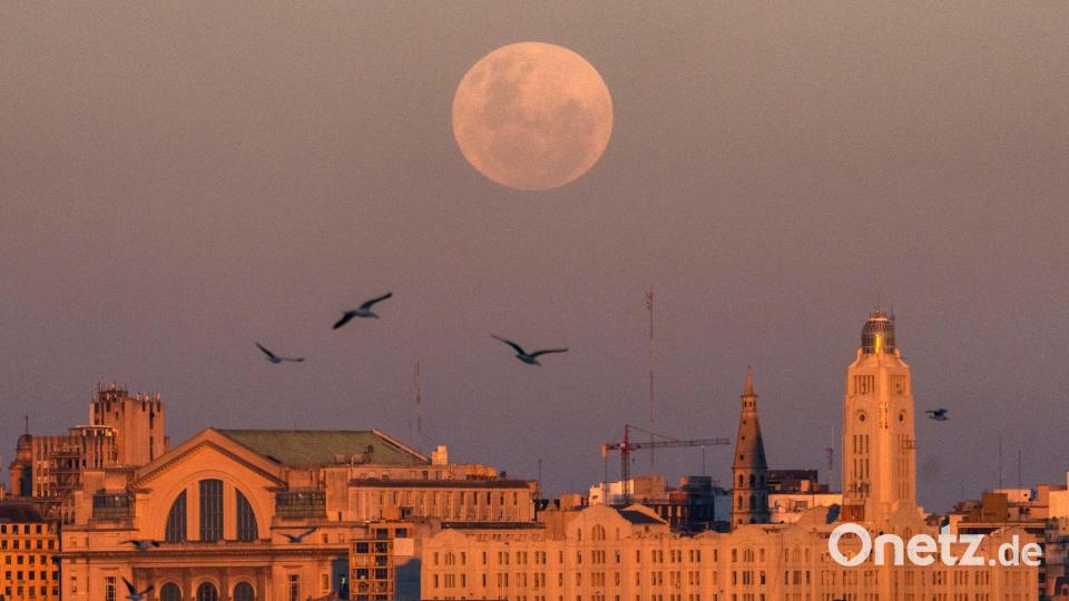Montevideo, Uruguay: Vollmond schiebt sich über die Skyline Bild: Matilde Campodonico/AP/dpa