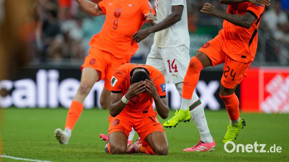 Fußball, Männer: WM, Niederlande - Marokko, Finalrunde, Sechzehntelfinale, Monterrey-Stadion in Guadalupe. Der Niederländer Cody Gakpo jubelt über sein Tor zum 1:0. (zu dpa: ««Begräbnisstimmung» bei Oranje - Koeman vor dem Aus») Bild: Dolores Ochoa