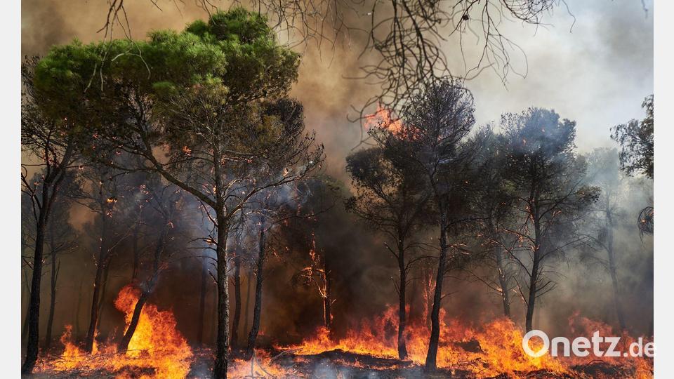 Rauch und Feinstaub aus Waldbränden verunreinigen auch noch in weiter Entfernung Bild: Eduardo Sanz/EUROPA PRESS/dpa