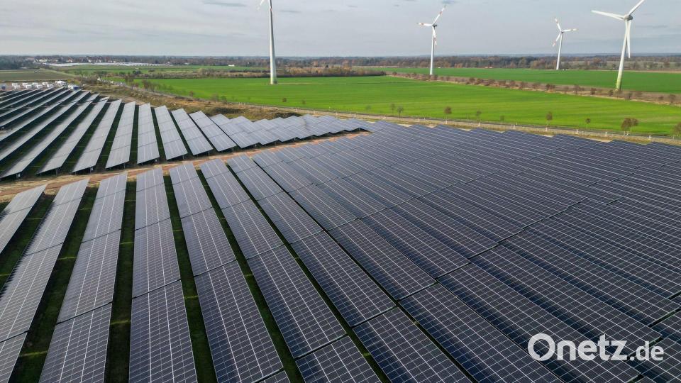 Erneuerbare Energien haben im ersten Halbjahr 58 Prozent des Stromverbrauchs gedeckt - ein Rekord. (Symbolbild) Bild: Jan Woitas/dpa