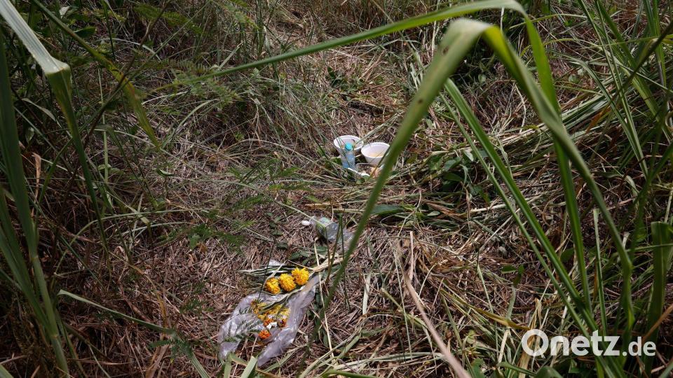 Blumen liegen am Fundort des Koffers. Bild: Dario Pignatelli/AAP/dpa