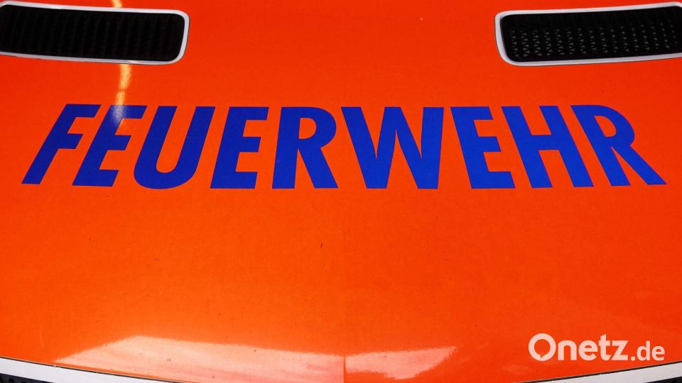 Kräfte der Berufsfeuerwehr brachten ein Chinchilla ins Tierheim. (Symbolbild) Bild: Julian Weber/dpa