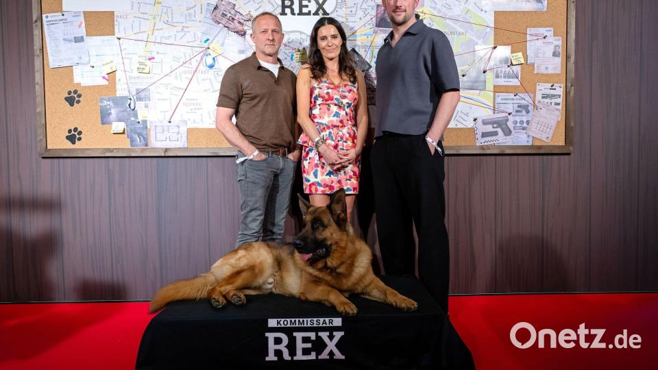 Schäferhund und Schauspielstars - von links nach rechts: Maximilian Brückner, Doris Golpashin und Ferdinand Seebacher aus der Serie „Kommissar Rex“. (Archivbild) Bild: Sven Hoppe/dpa